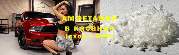 PSILOCYBIN Михайлов