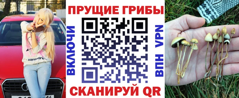 Псилоцибиновые грибы Cubensis дарнет шоп Мыски